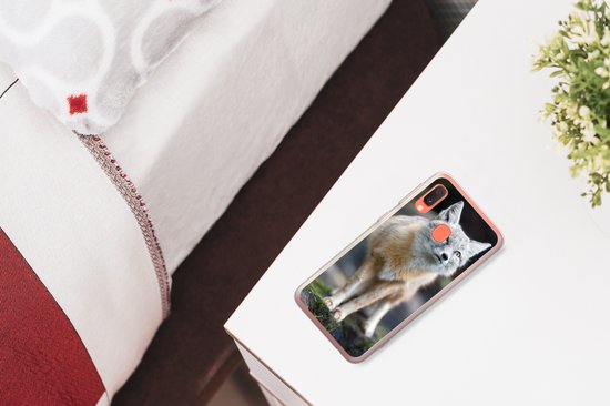 Coque Samsung Galaxy A20e - Renard - Macro - Arbre - Coque de téléphone en Siliconen