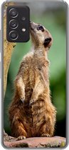 Convient pour la coque Samsung Galaxy A53 5G - Suricate - Animal - Roche - Coque de téléphone en Siliconen