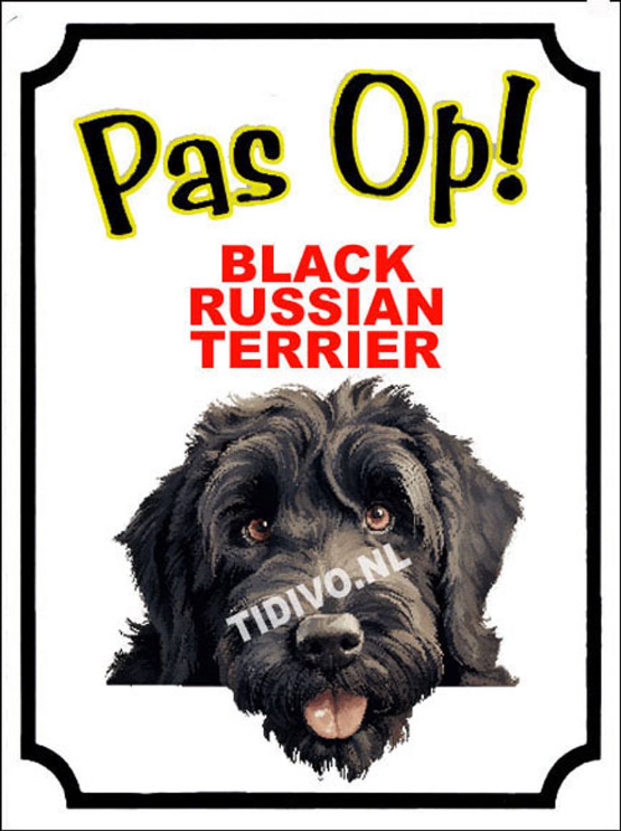 Black Russian Terrier 16