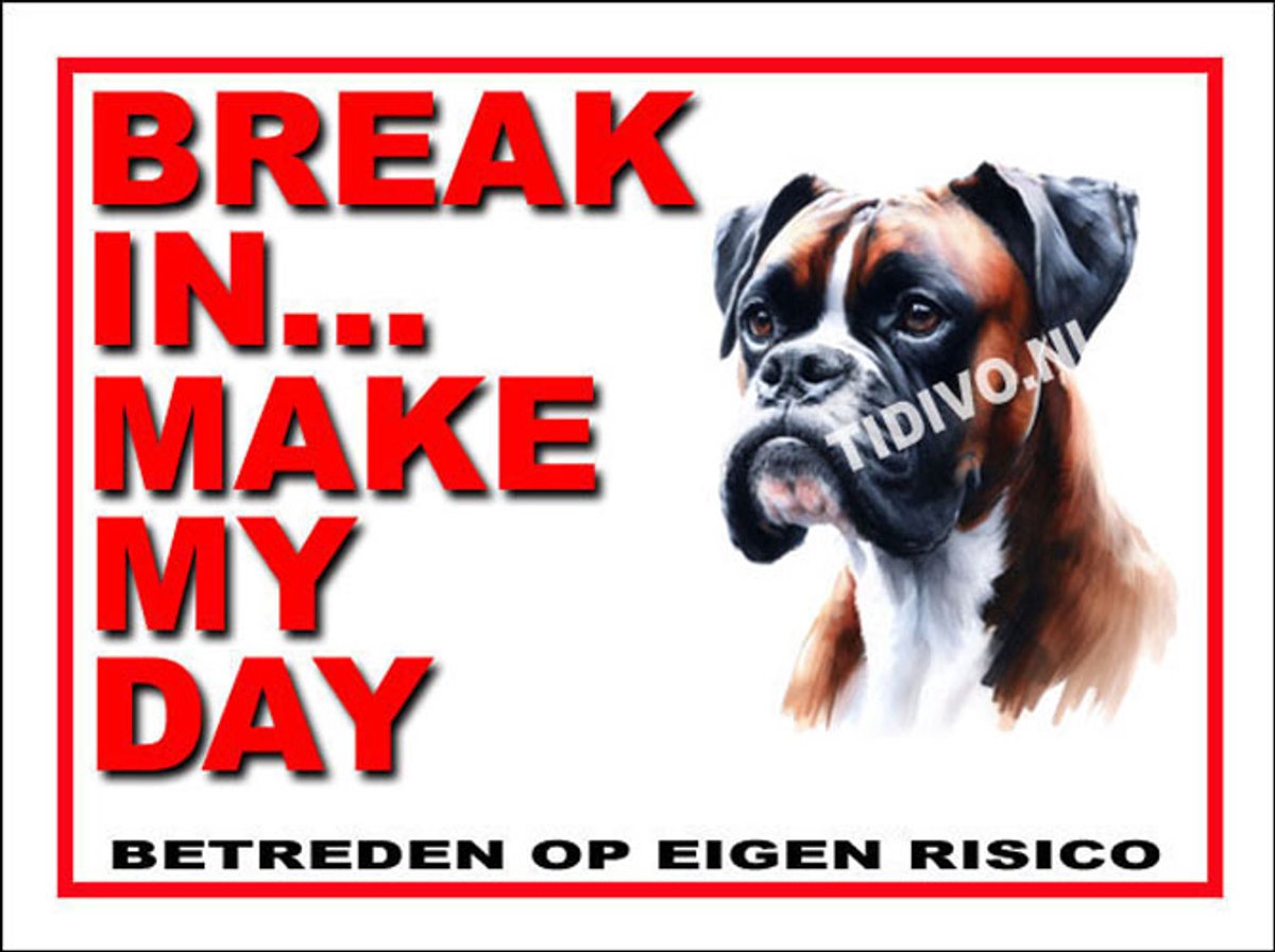 Boxer 1