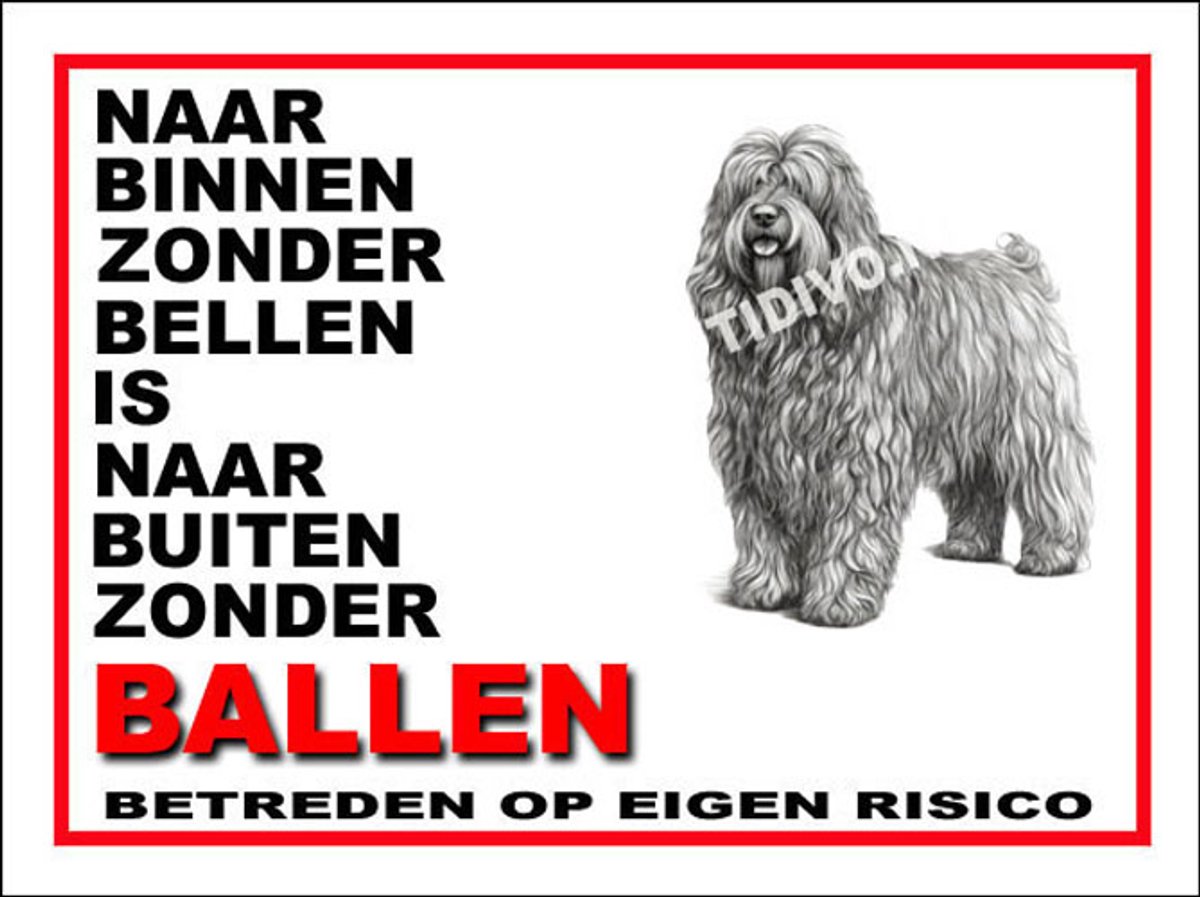 Bergamasco 11