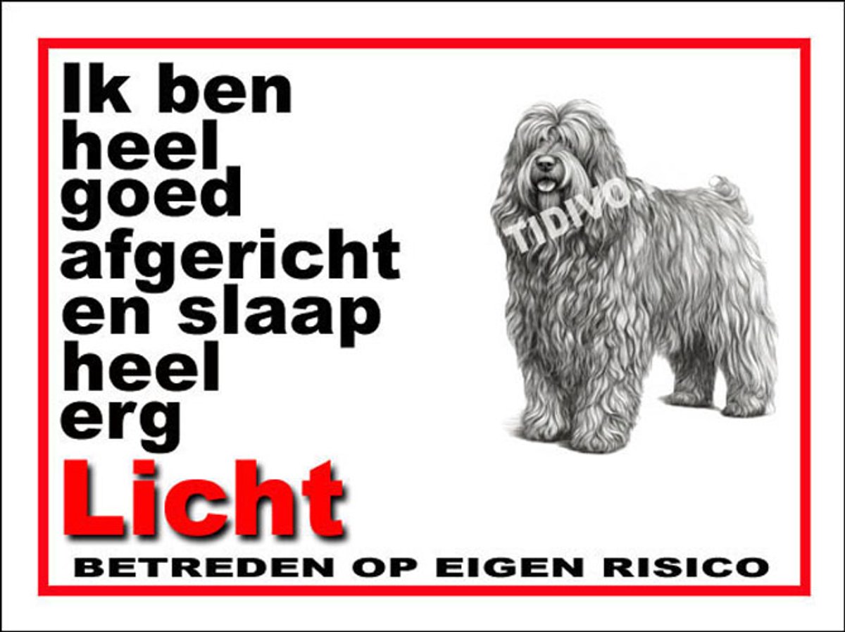 Bergamasco 4
