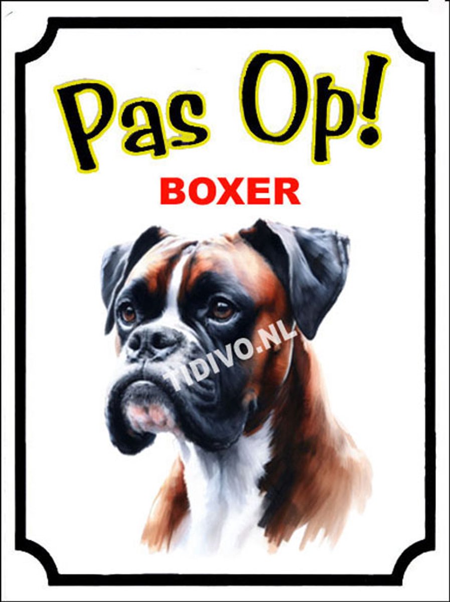 Boxer 16