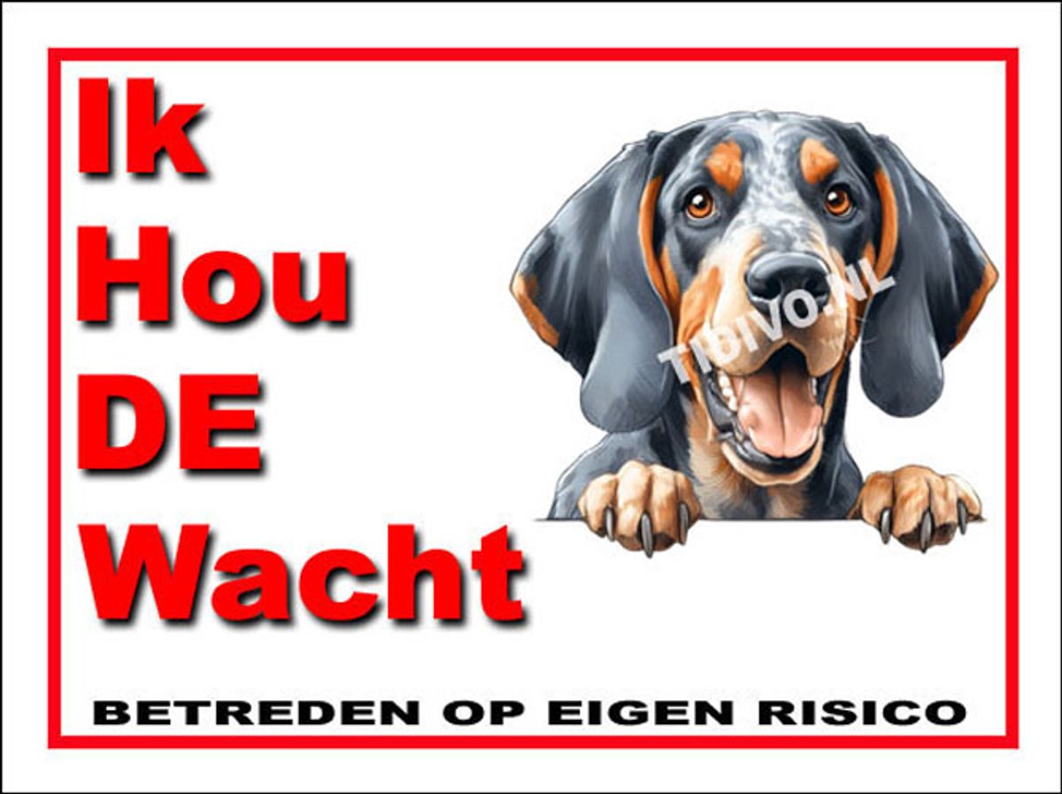 Bluetick Coonhound 7
