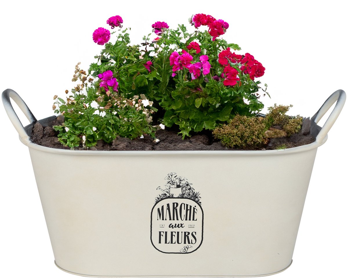 Sunnydays Teil/plantenpot/bloempot - zink - ivoorwit - L39 x B16 x H21 cm