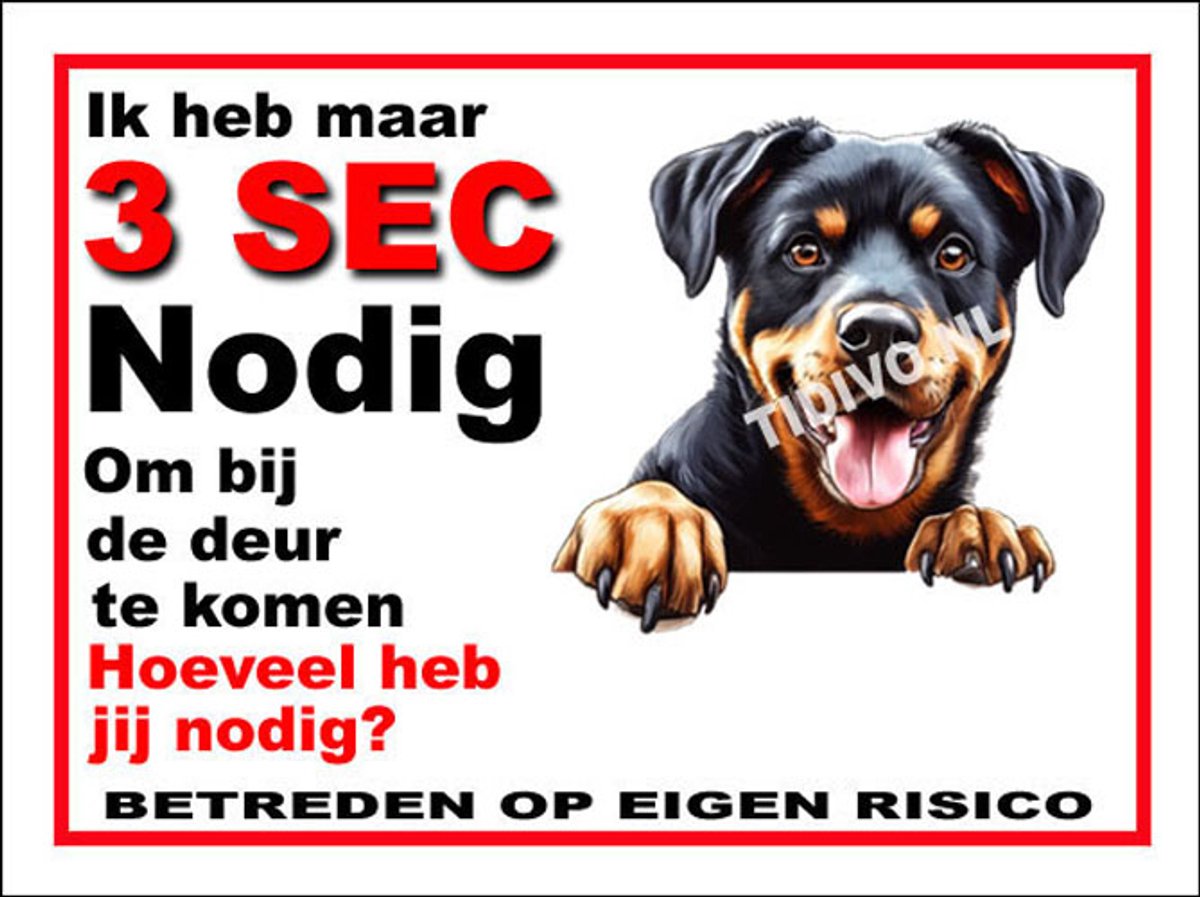 Beauceron 5