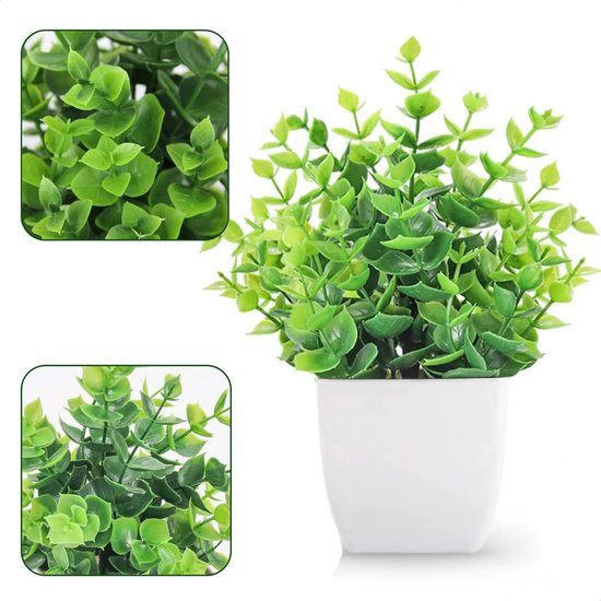 Een kunstplant met vele kleine, ronde groene bladeren in een witte vierkante pot. Getoond met close-ups van de bladeren.