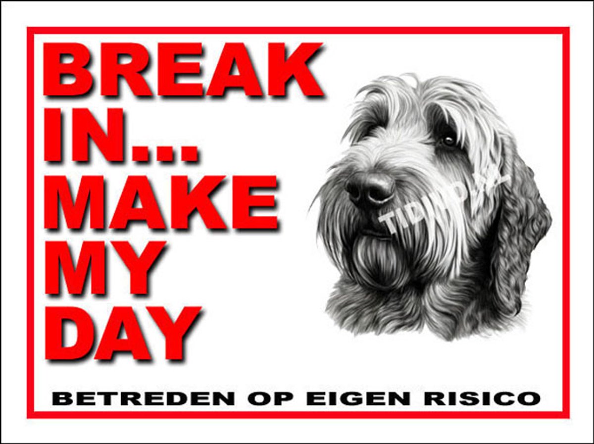 Otterhound 1