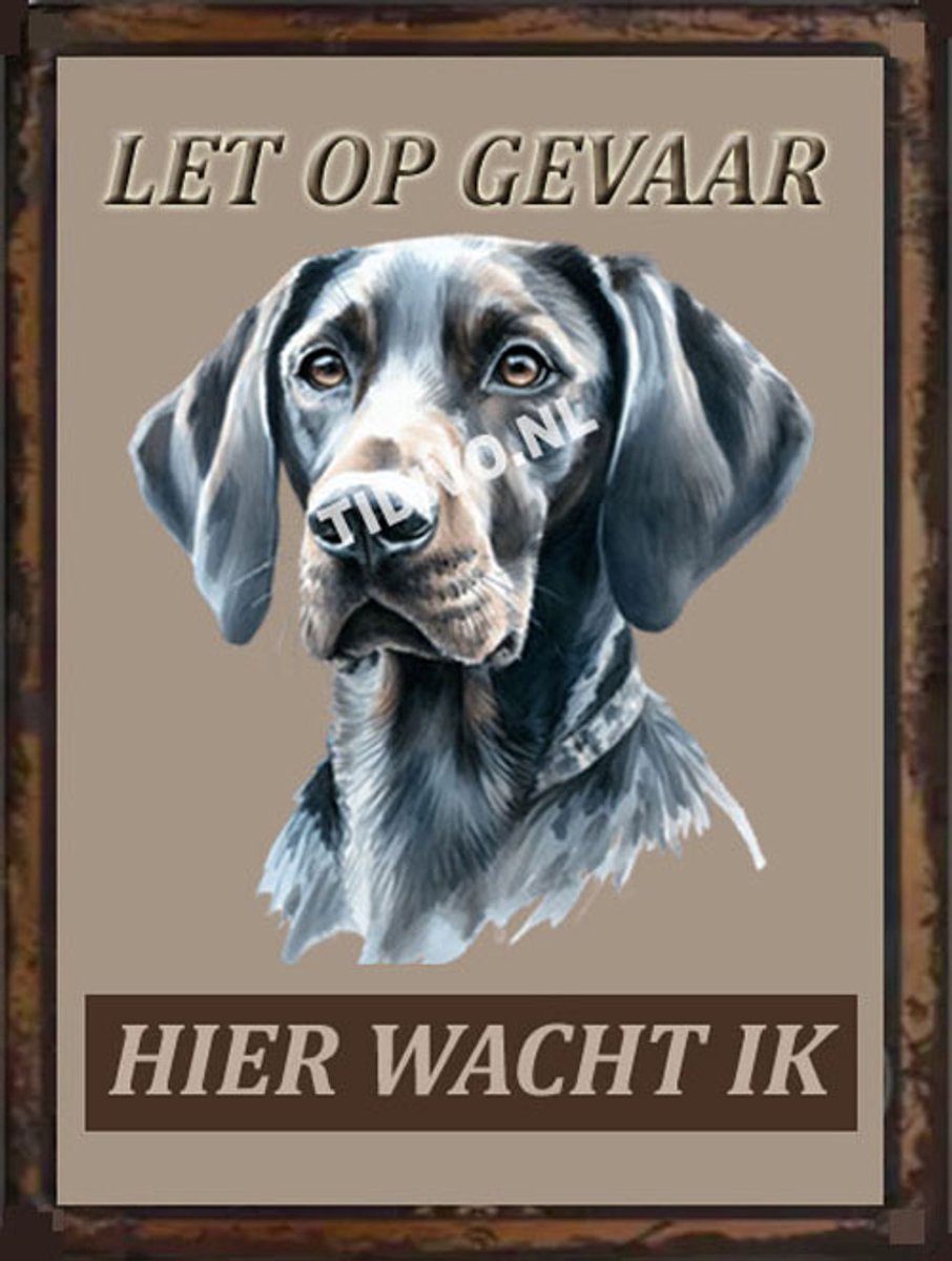 Plott 18