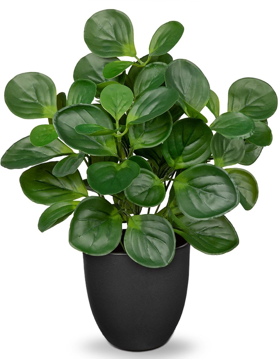 Oairse Kunstplant Peperomia in Pot - 37 cm Kunstmatige Kamerplant met Muntbladeren - Tafel & Bureau Decoratie Groen