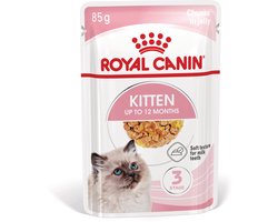 Royal Canin - Kitten Jelly Kattenvoer Nat - 12 x 85 gr