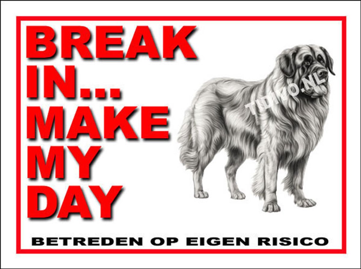 Leonberger 1