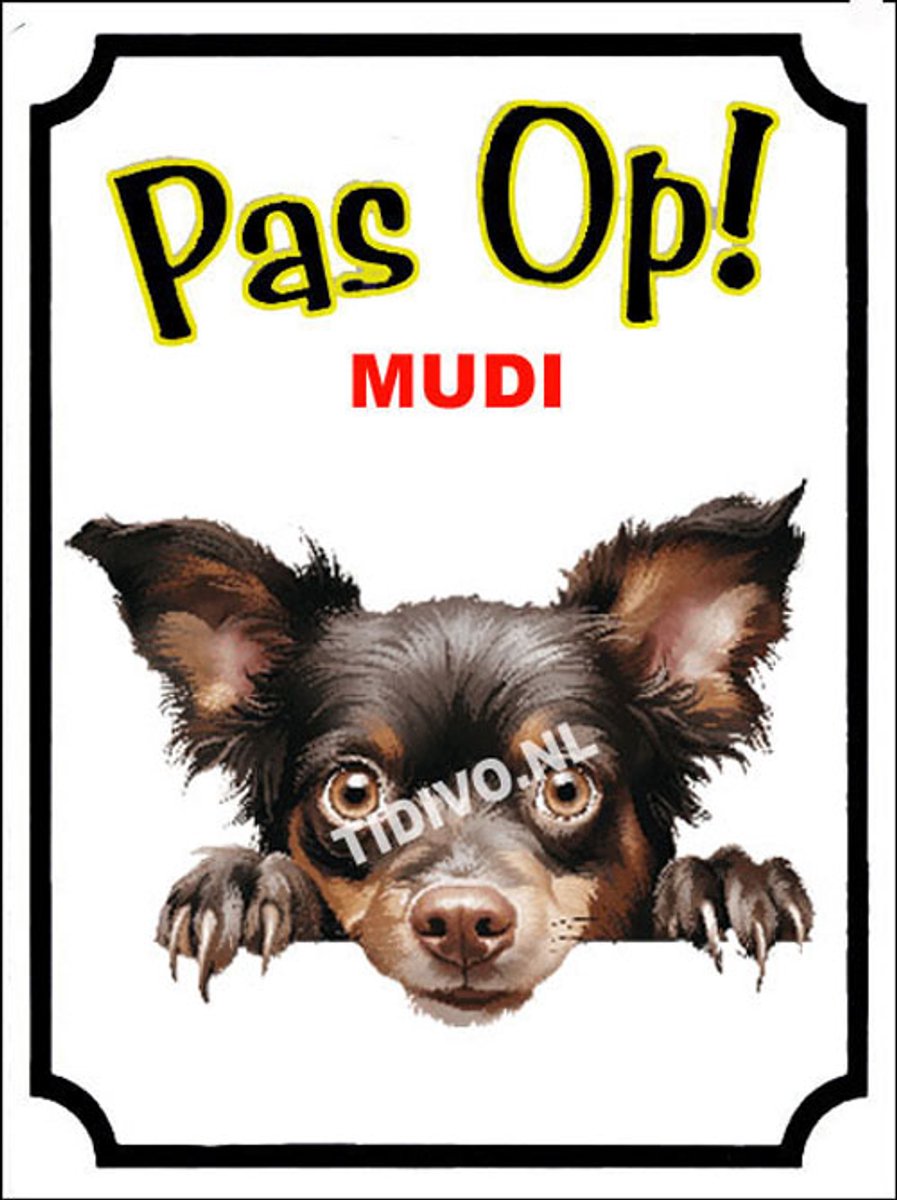 Mudi 16