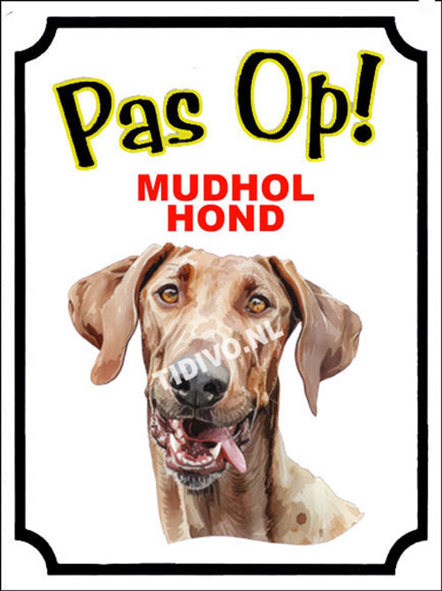Mudhol Hond 16