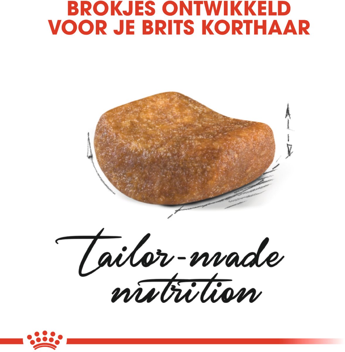 Royal Canin - British Shorthair Voeding thumbnail 6