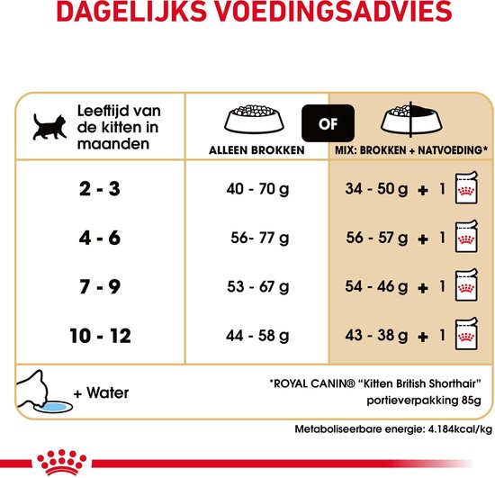 Royal Canin British Shorthair Kitten - 400 g - Kattenvoer