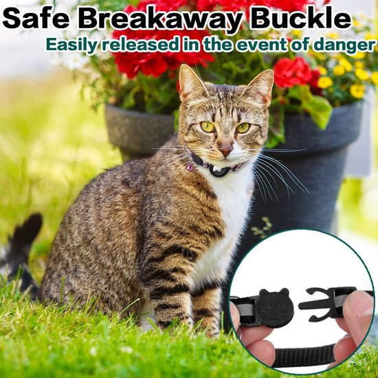 GPS Tracker voor Kat & Hond zonder abonnement | PawPositie Watcher