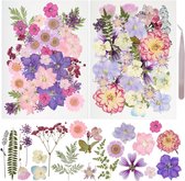 Kartonnen bloem met kaartje | Holbox Shop Direct