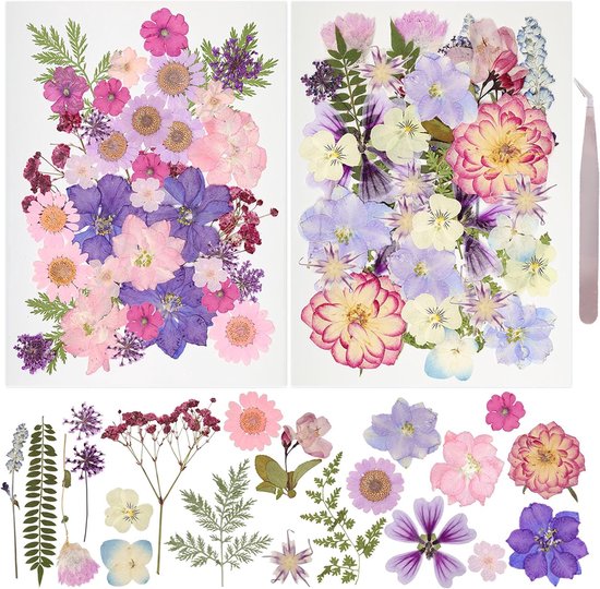 BOTC Natuurlijk Gedroogde Bloemen - Droogbloemen - 70 Stuks - Gypsophila Bloemen - Hars Nail Art - DIY Knutselen - Geperste Bloemen