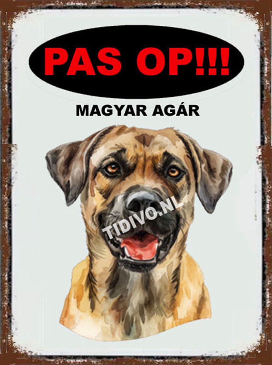 Magyar Agár 17