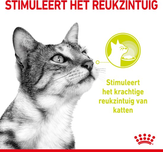 Royal Canin Sensory Multipack Mix - In Gravy - Kattenvoer - 12x85 g