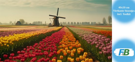 Peinture diamant 40x50 cm, pierres carrées incl. kit, avec un moulin dans un champ de tulipes.
