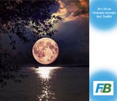 F4B | Peinture diamant pour adultes | 40x50 CM | Couverture totale | Pierres carrées | Comprend des Tools | Pleine lune