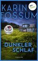 Boekcover van Karin Fossum's 'Dunkler Schlaf'. Een huis in de verte met een donkere, dramatische lucht erboven.