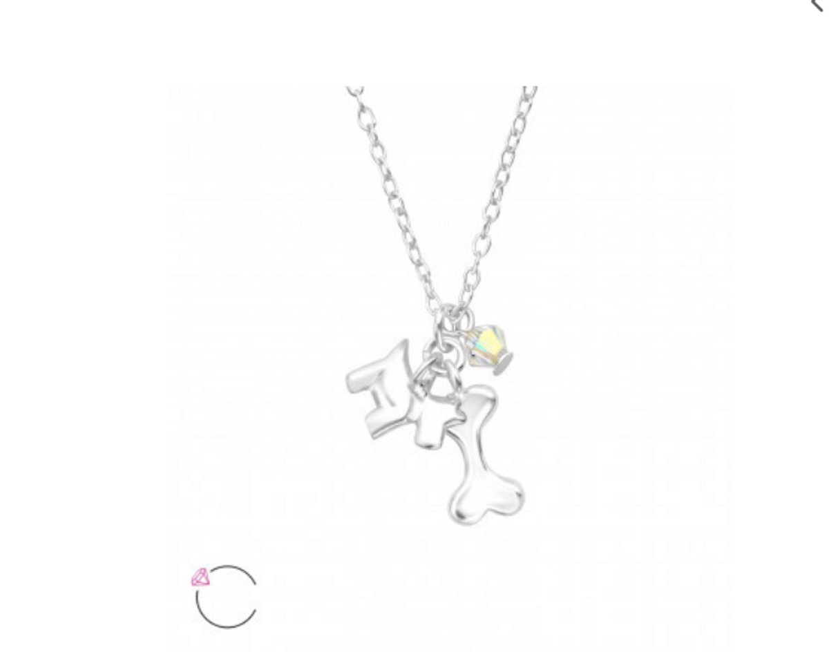 Ketting - Hond met botje -Echt Zilver - Cadeau - Verjaardag - Communie