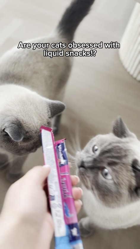 3 Stuks - Kattentreats Lepel - Kattenlekkernijlepel - Voederdispenser - Cat Treats Spoon - Voor Het Uitknijpen Van Puree En Snacks - Snacklepel Voor Huisdieren - wit,roze,blauw - 260*62mm