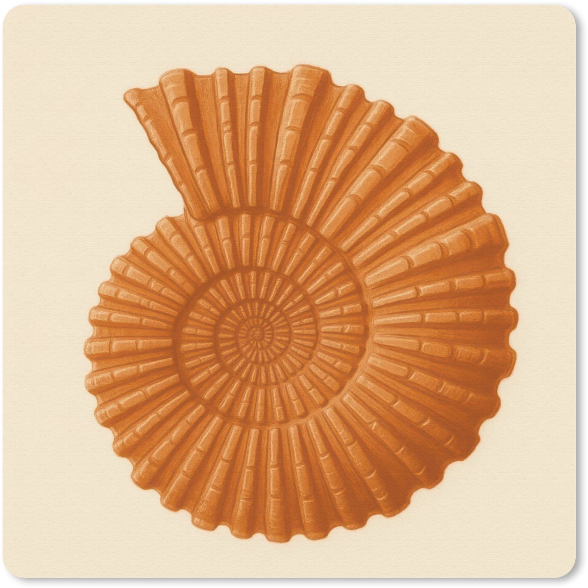 Muismat 30x30 cm - Mousepad Schelp - Oranje - Ribbels - Muismatten