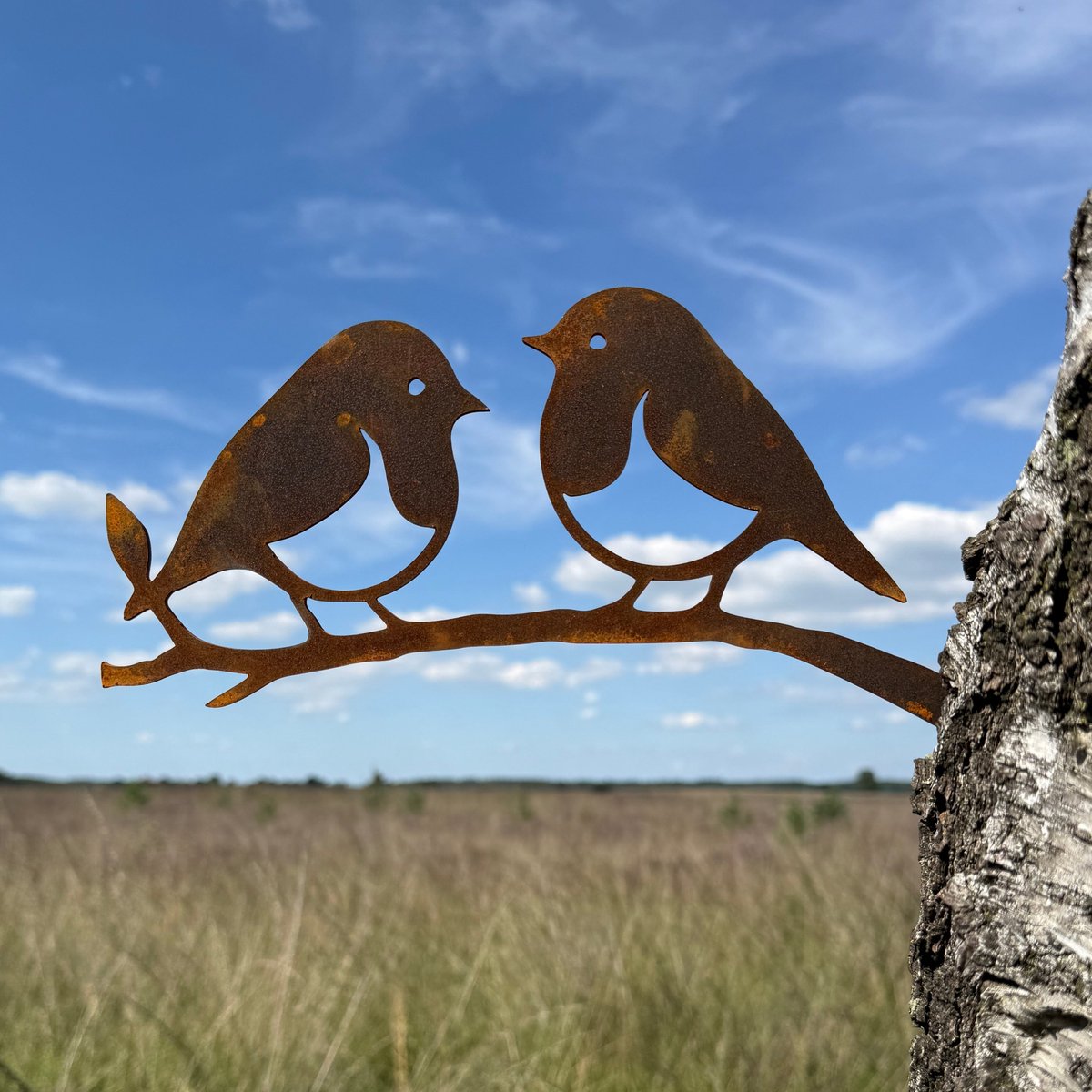 Tuinvorm RUDDOCK - CORTENSTAAL - Metalbird - Vogel