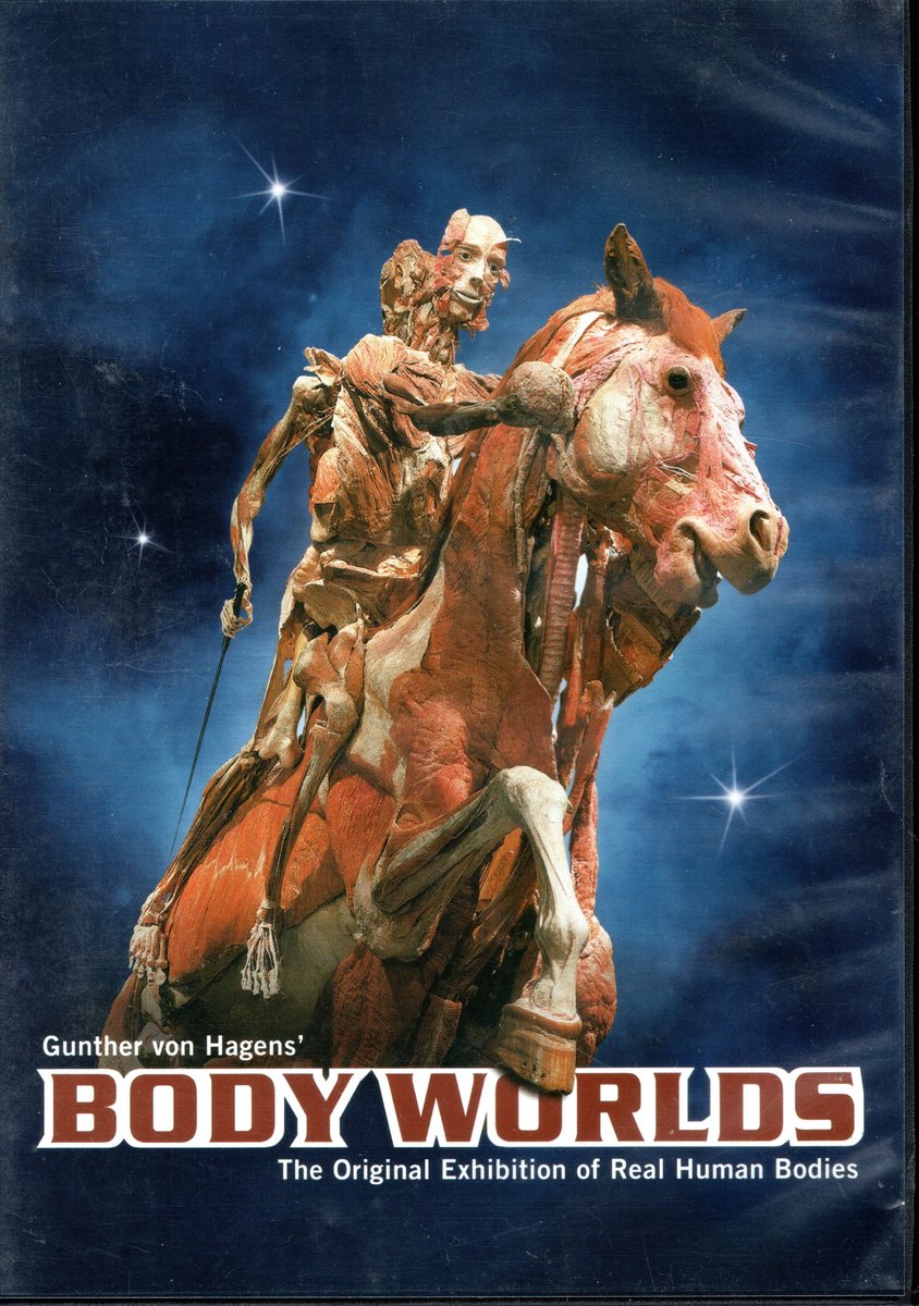 Körperwelten / Body Worlds DVD