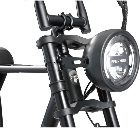 Ape Ryder A10 Pro Elektrische Fatbike 20×4.5 inch banden 250W motor 36V 10Ah accu 7 versnellingen zwart