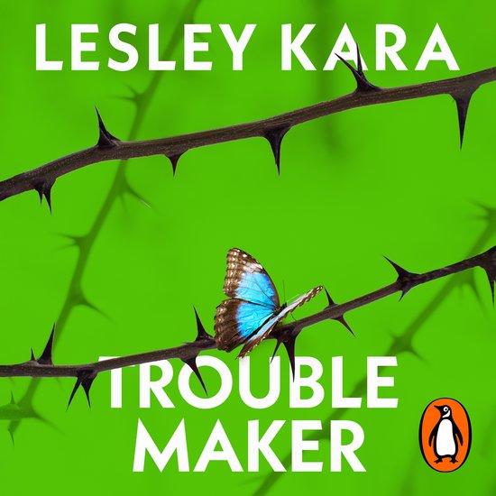 Troublemaker - cover