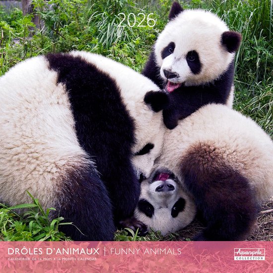 Calendrier Mural 2026 – 12 Mois 27x21 Cm – Illustrations Animaux – Fabriqué En France, Certification PEFC - 13