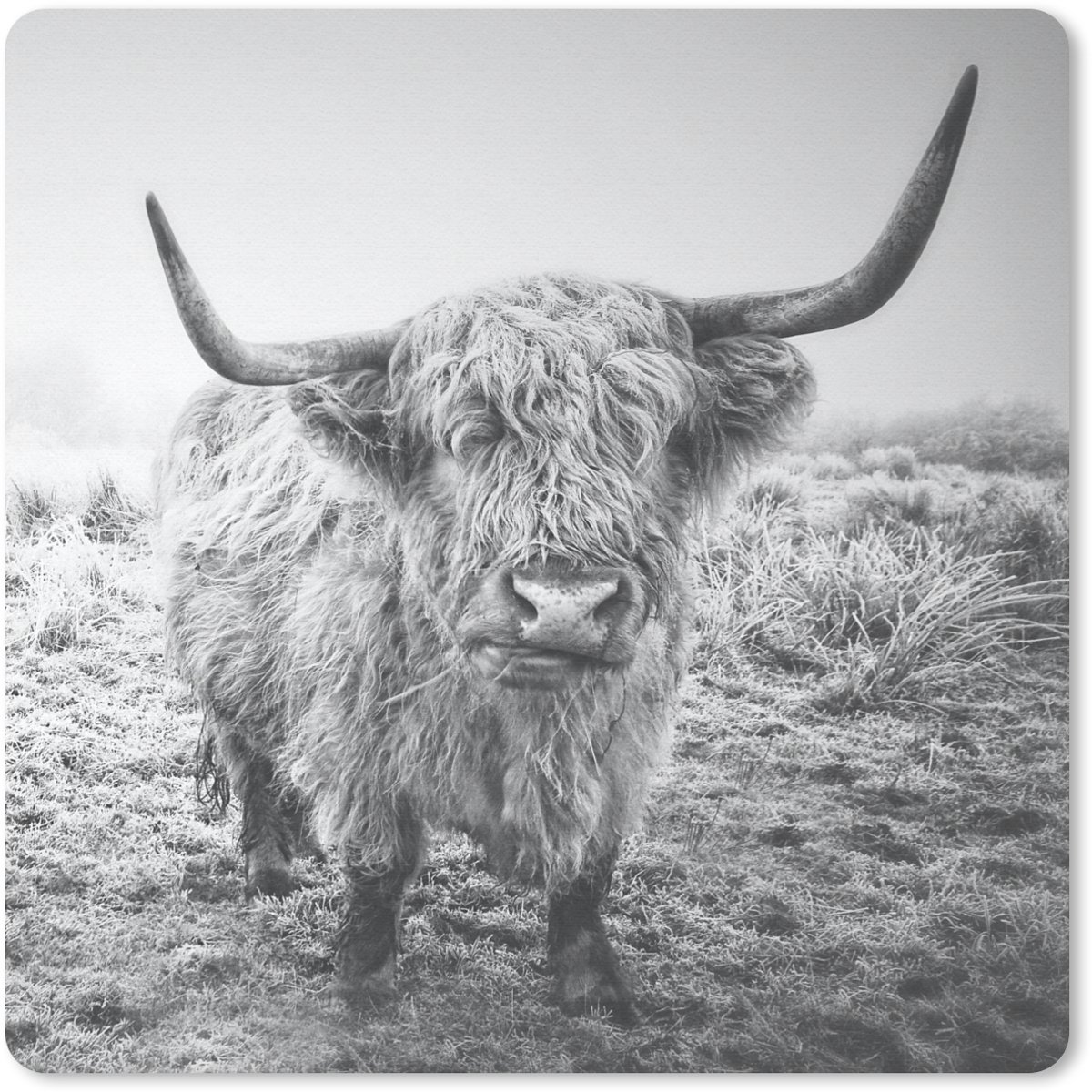 Muismat 20x20 cm - Mousepad Schotse hooglanders - Licht - Lucht - Natuur - Muismatten