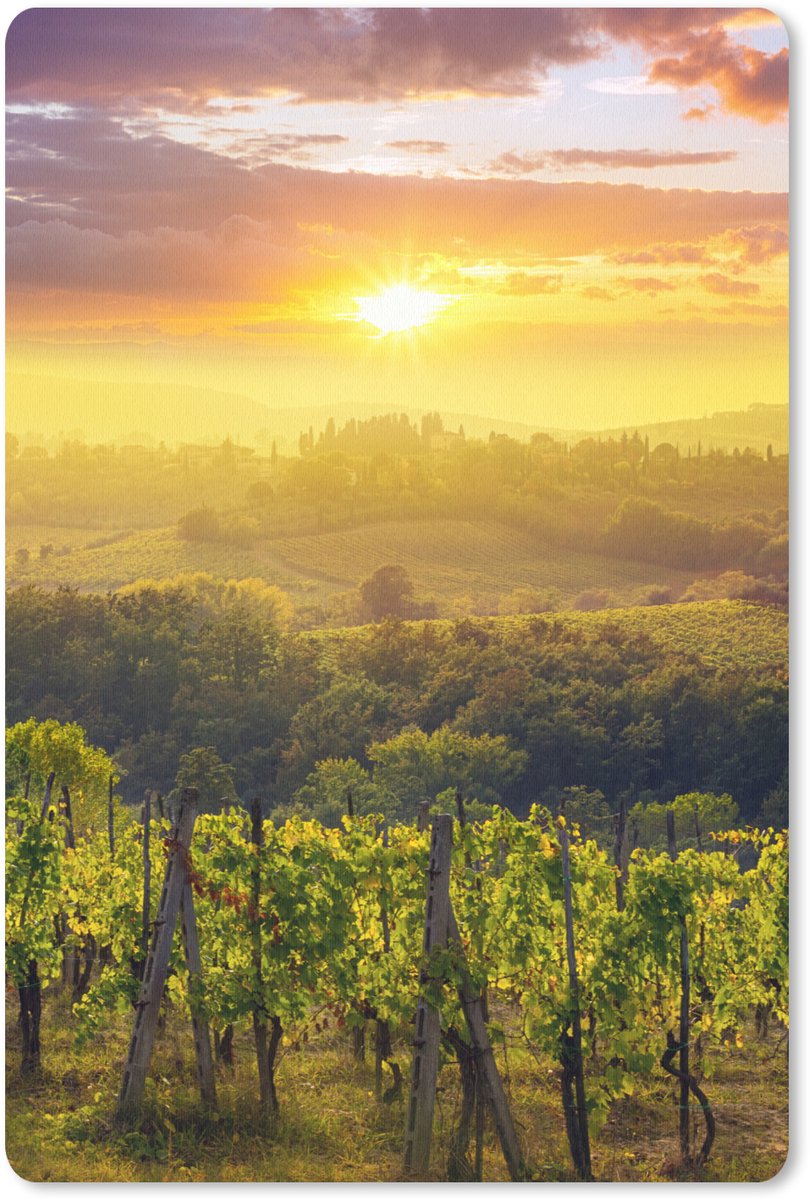 Muismat 18x27 cm - Mousepad Toscane - Italië - Druivenbomen - Muismatten