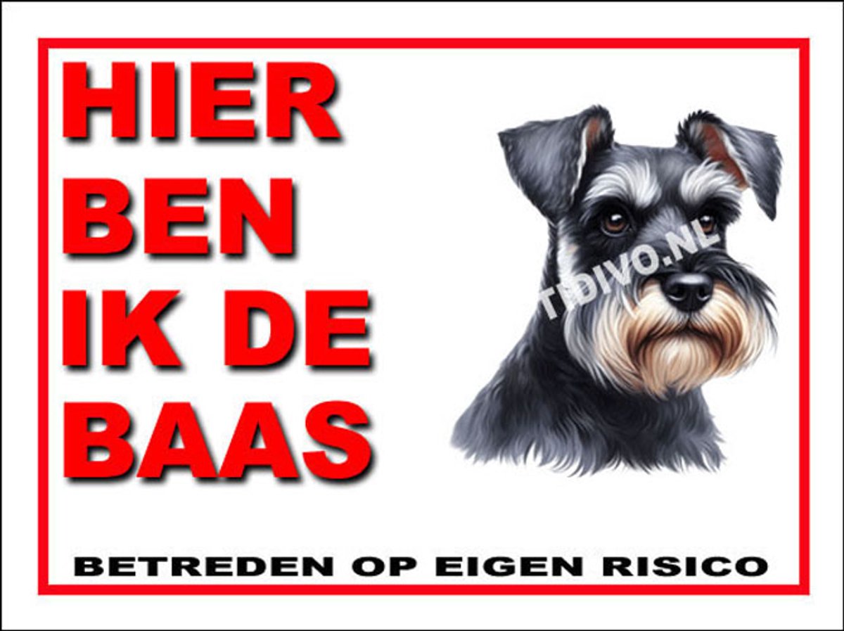 Schnauzer 2