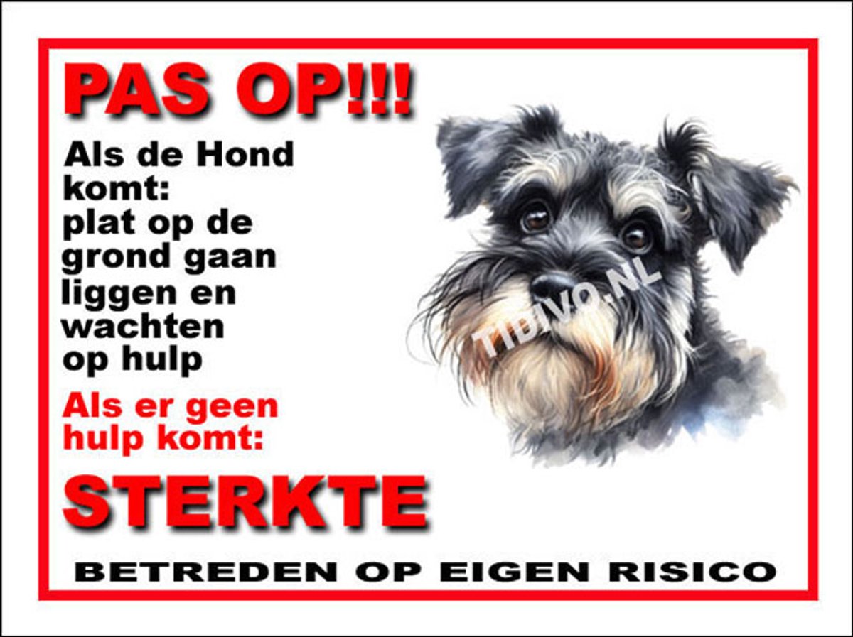 Schnauzer Miniatuur 12