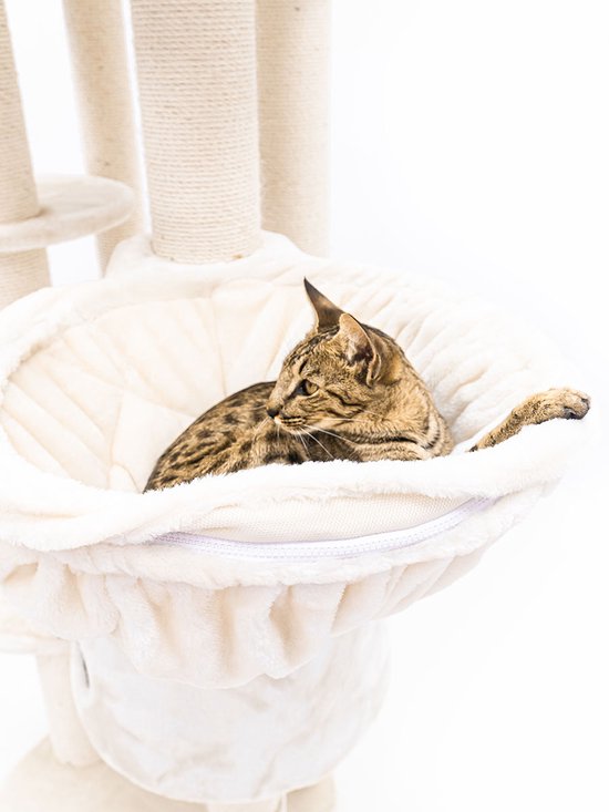 Arbre à chat Petrebels Isabella 170 Design - Crème - Qualité Premium - Arbre à chat XXL pour grands chats