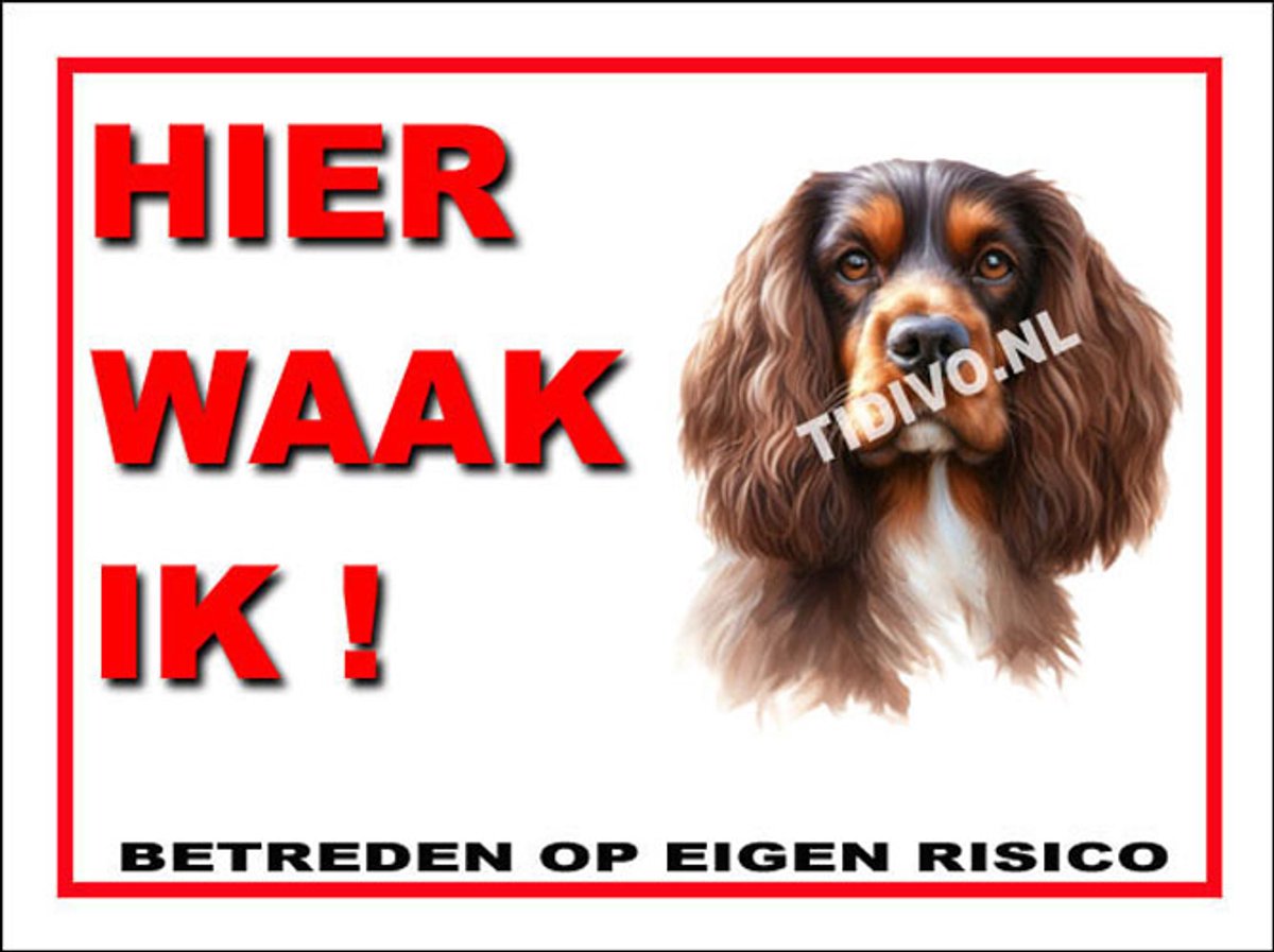Sussex Spaniel 3