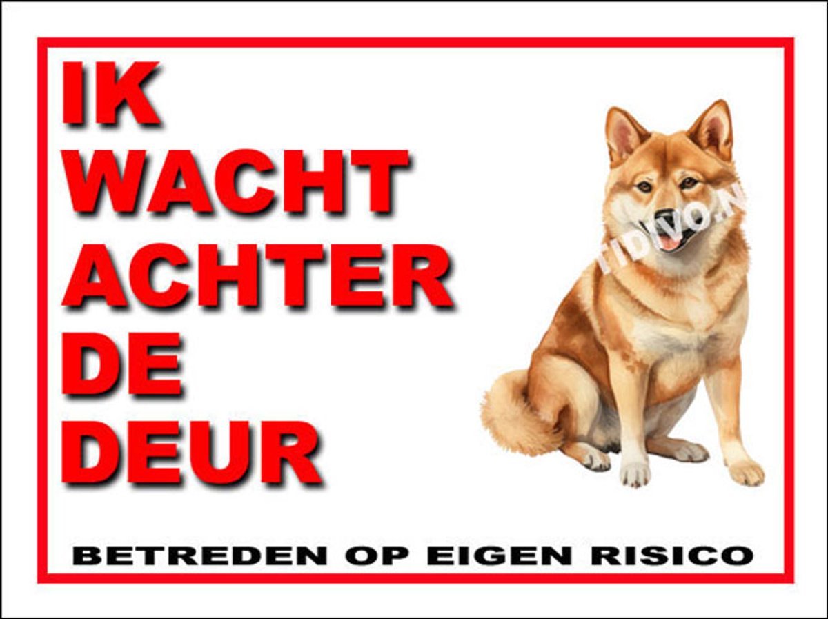 Shiba 10