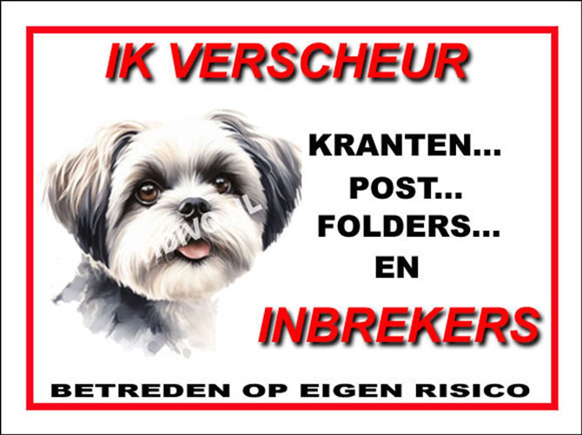 Shih Tzu 8
