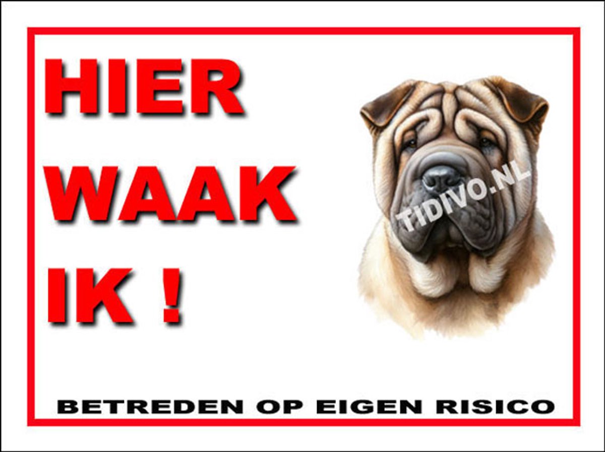 Shar-Pei 3