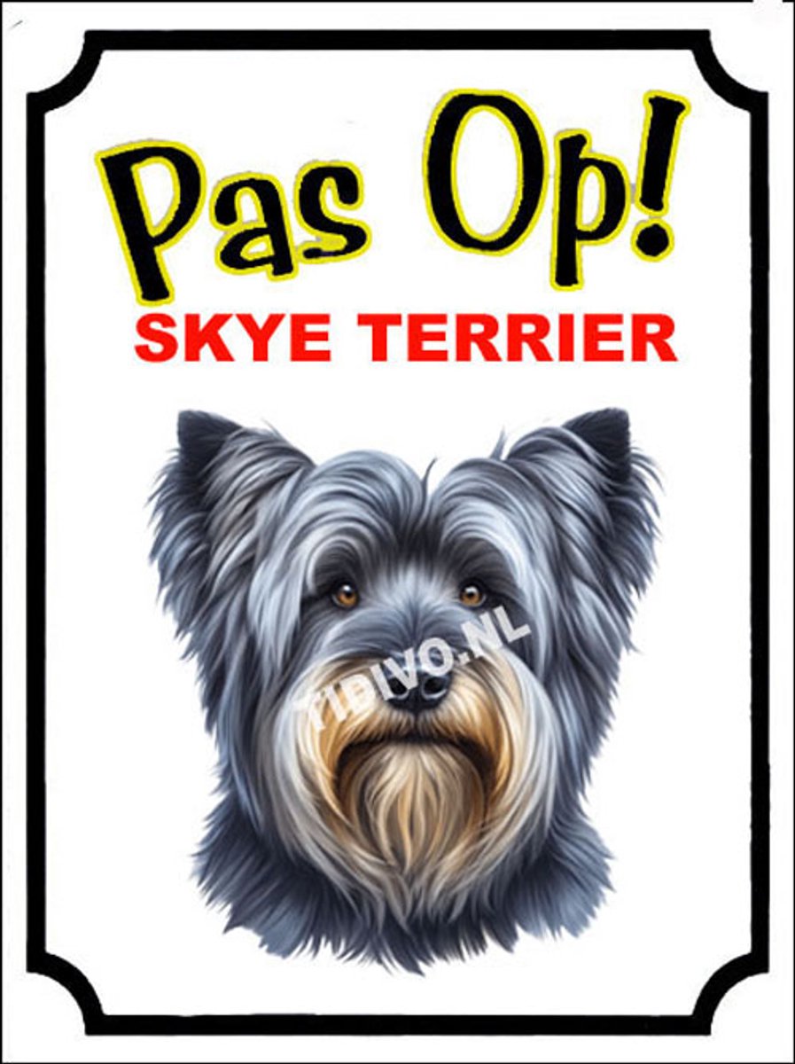 Skye Terrier 16