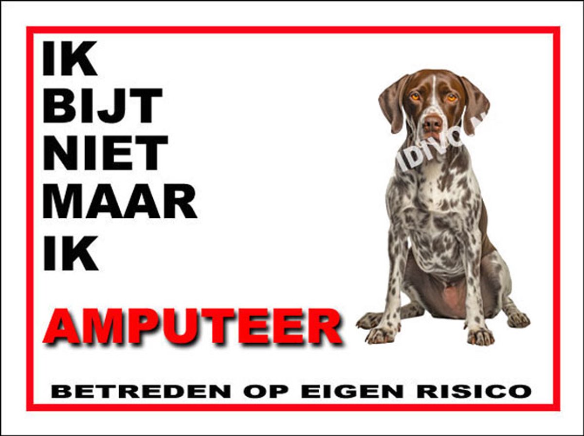 Pointer 5