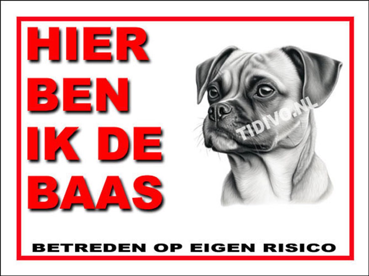 Puggle 2