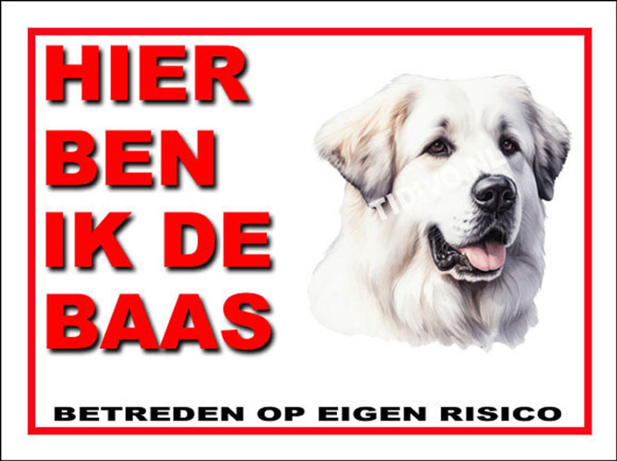 Pyreneese Berghond 2