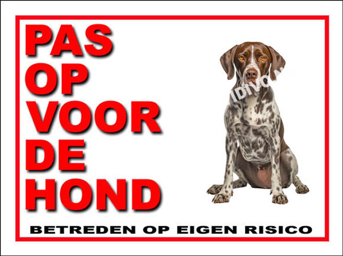 Pointer 13